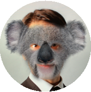 koala