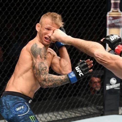 coup de pied au visage